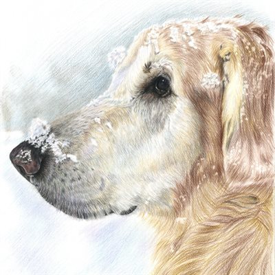 Hand Drawn Color Pencil from Photos - myDaVinci